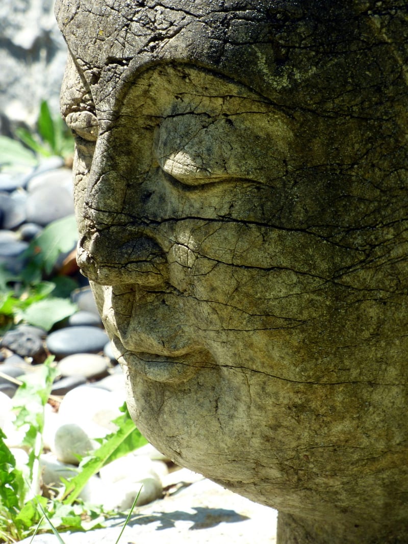 Qi Gong Balance